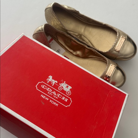 Coach Darsi Dusted Suede Mirror Metallic Gold Flats - Picture 4 of 5